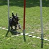 agility 2011-07-24